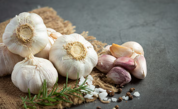 Fresh Garlic