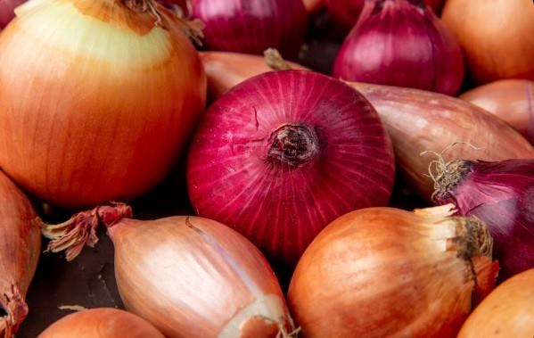 Fresh Onions Packed