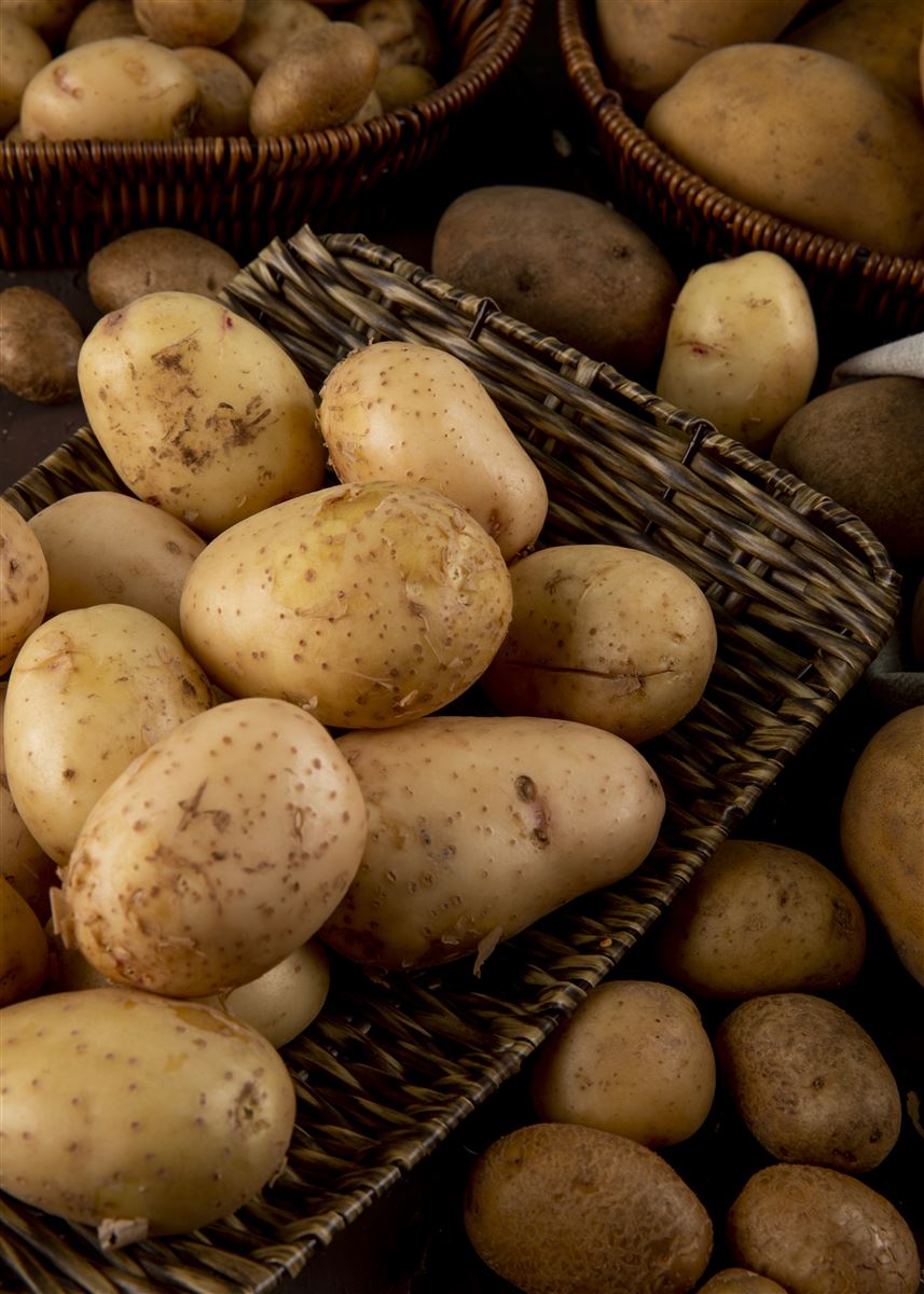 Fresh Potatoes